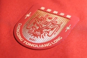 中国足球vs重庆铜梁龙直播_中国足球vs重庆铜梁龙比赛回放_中国足球vs重庆铜梁龙精彩集锦回放